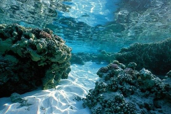 the sun shines through the water on some coral