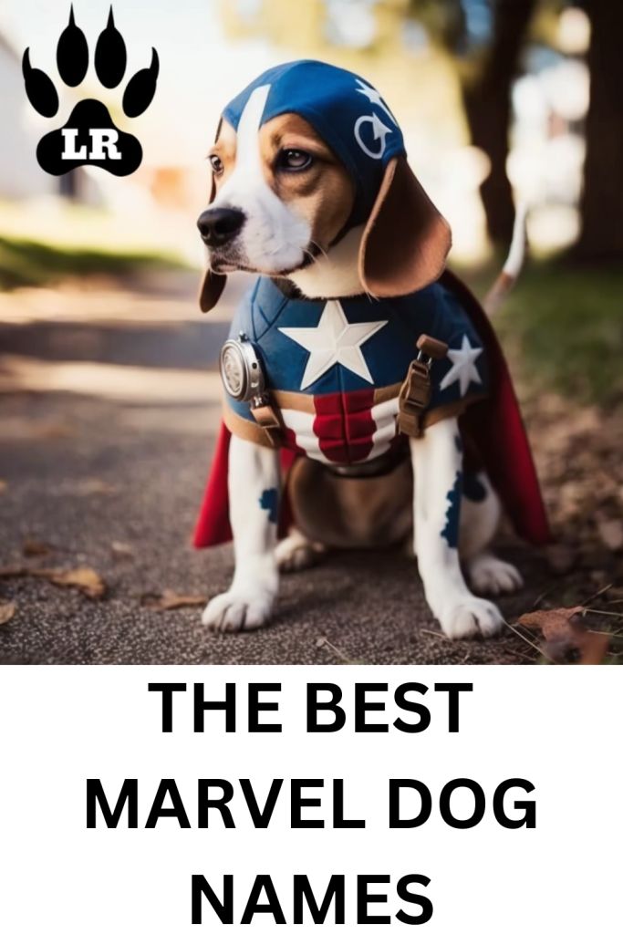 a dog dressed up as captain america with the words, the best marvel dog names