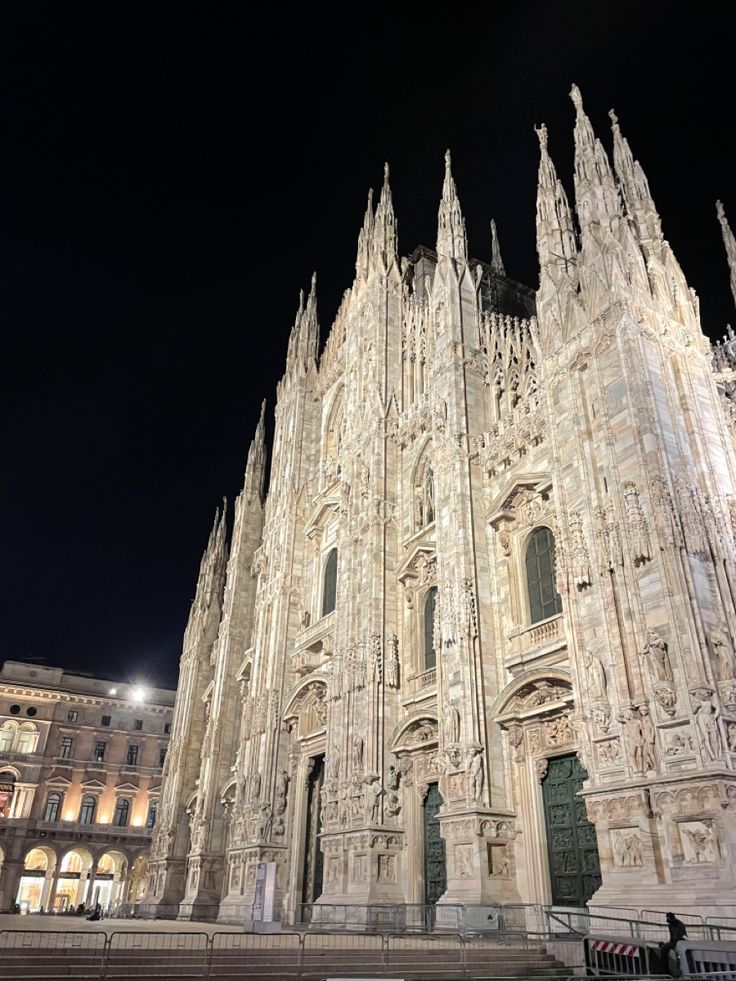 the large cathedral is lit up at night