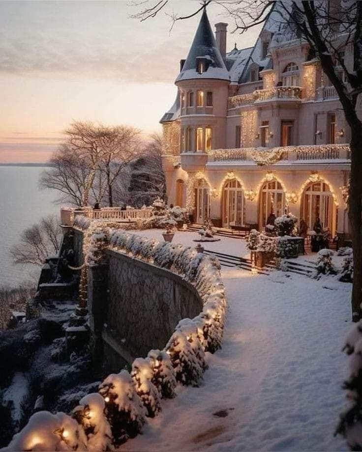 a large house with christmas lights on it's windows and trees in the snow