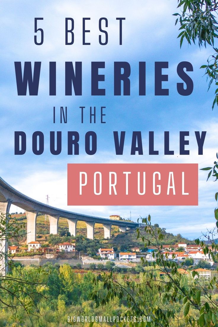 a bridge with the words 5 best wineries in the douro valley portugal