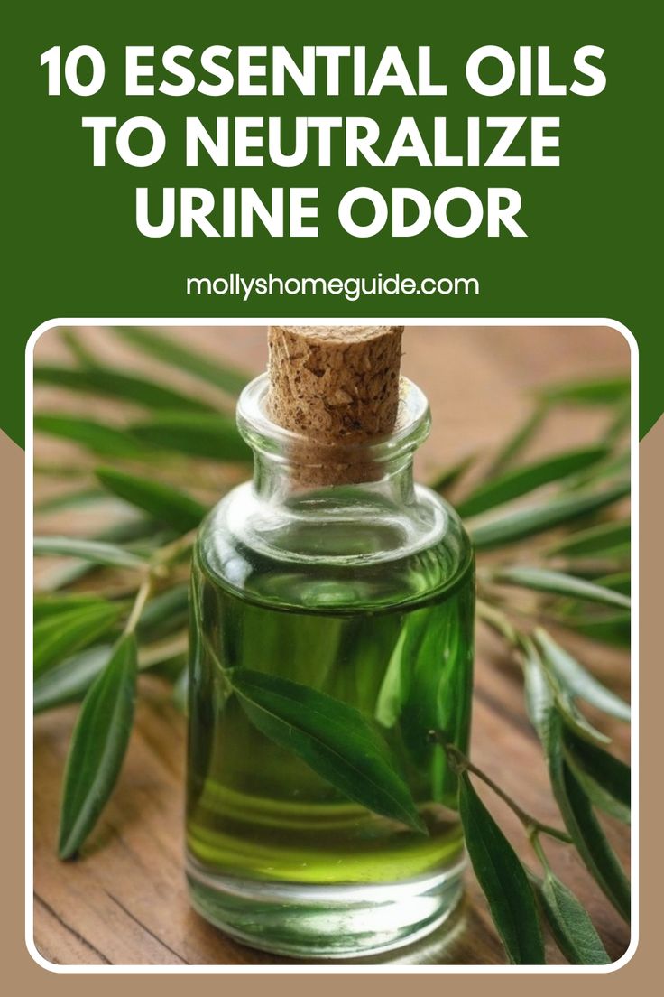 essential oils to neutralize urine odor