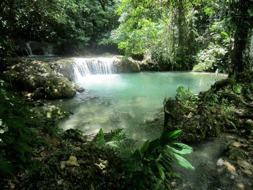 a small waterfall in the middle of a forest