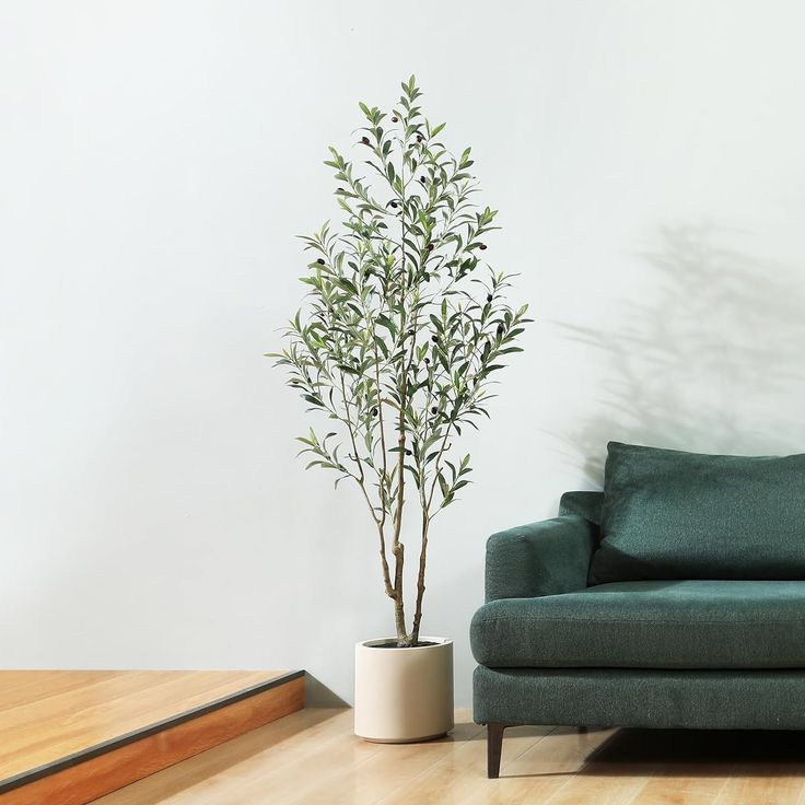 a green couch sitting next to a plant in a white vase on top of a hard wood floor