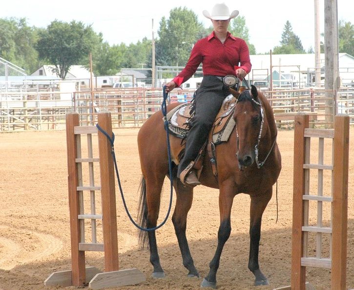 a woman in red shirt riding on the back of a brown horse at a rodeo