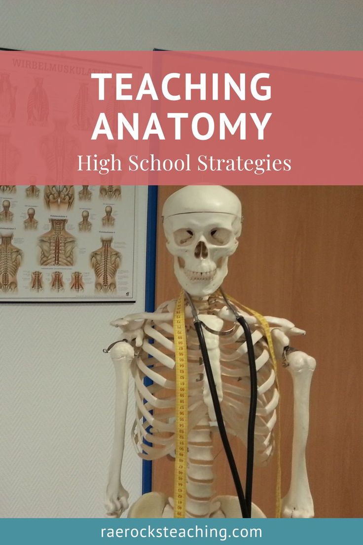 a skeleton with a measuring tape around it's neck and the words teaching anatomy high school