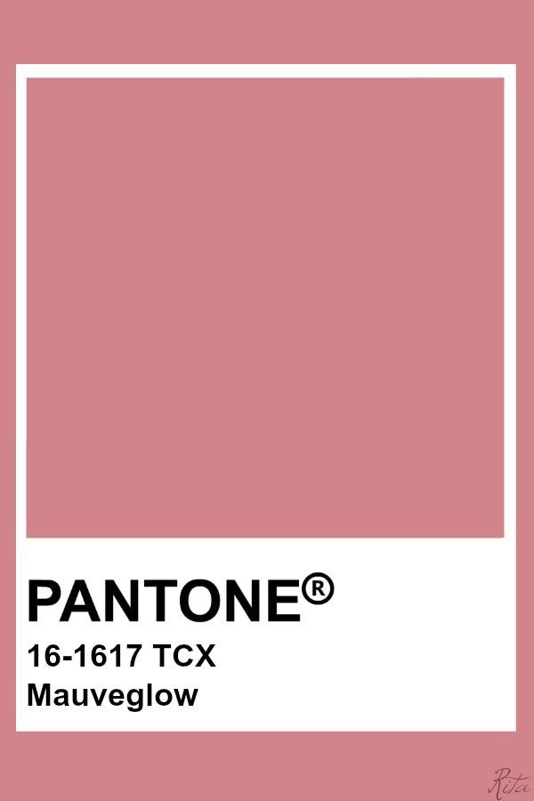 the pantone color is shown in an orange and white square with text that reads,'17 - 150 tcx apricot brandy