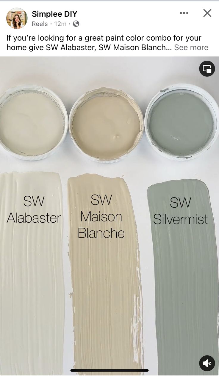 four different shades of gray paint with the same color and size on each one side