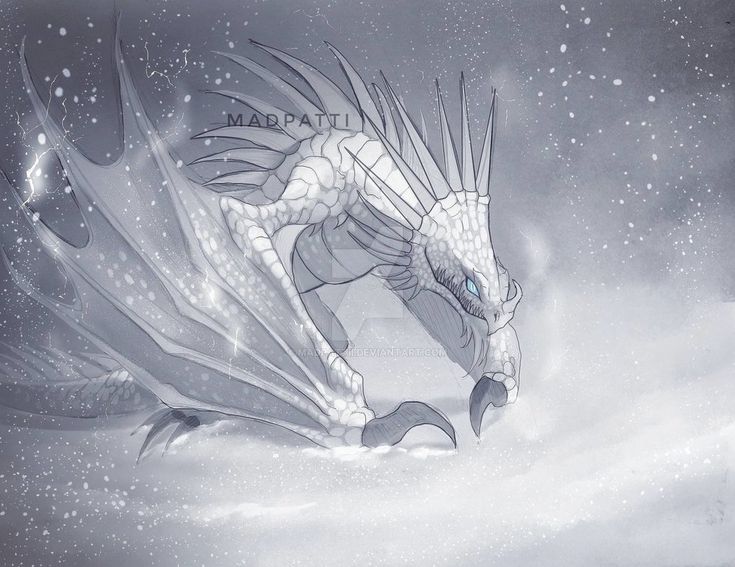 a drawing of a white dragon flying through the air with its wings spread wide open