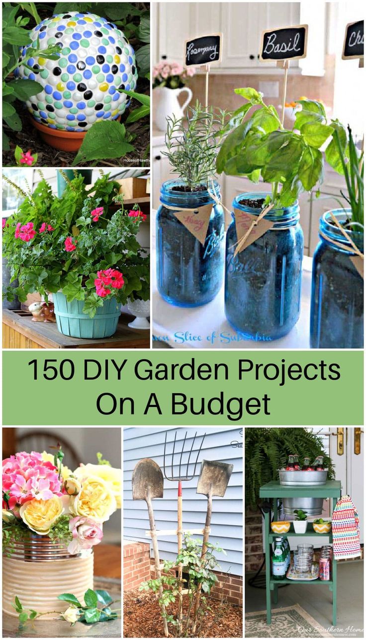 the top ten diy garden projects on a budget, including mason jars and flowers