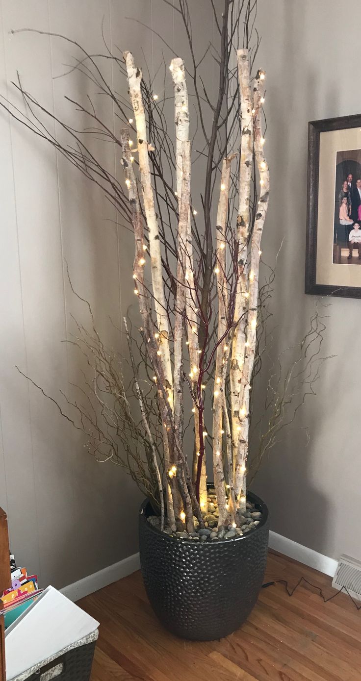 a large potted plant with branches and lights in it sitting on a hard wood floor