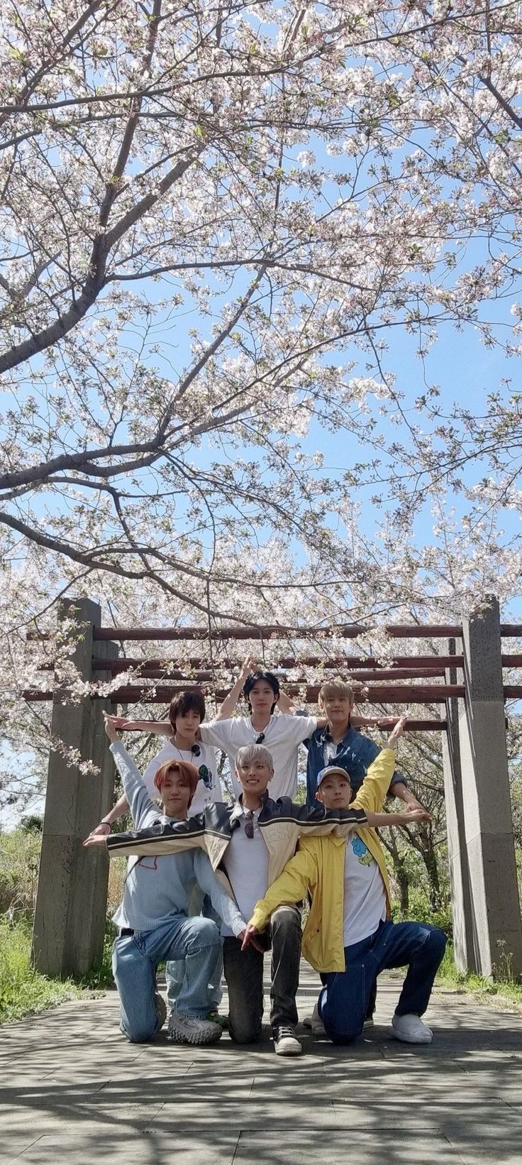 a group of young men standing next to each other under a cherry blossom tree