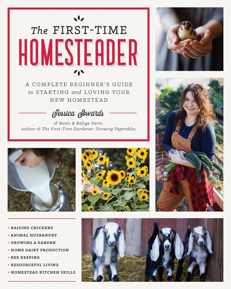 the first - time hometeader book is out now