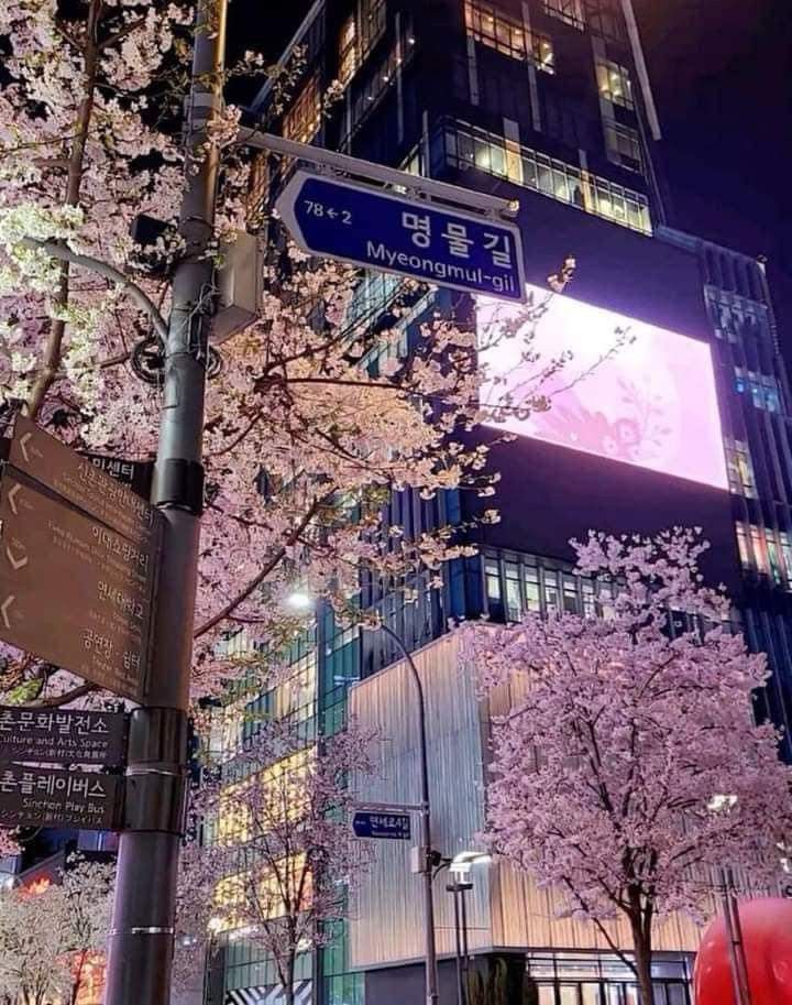 the street signs are clearly visible for all to see in this city at night time