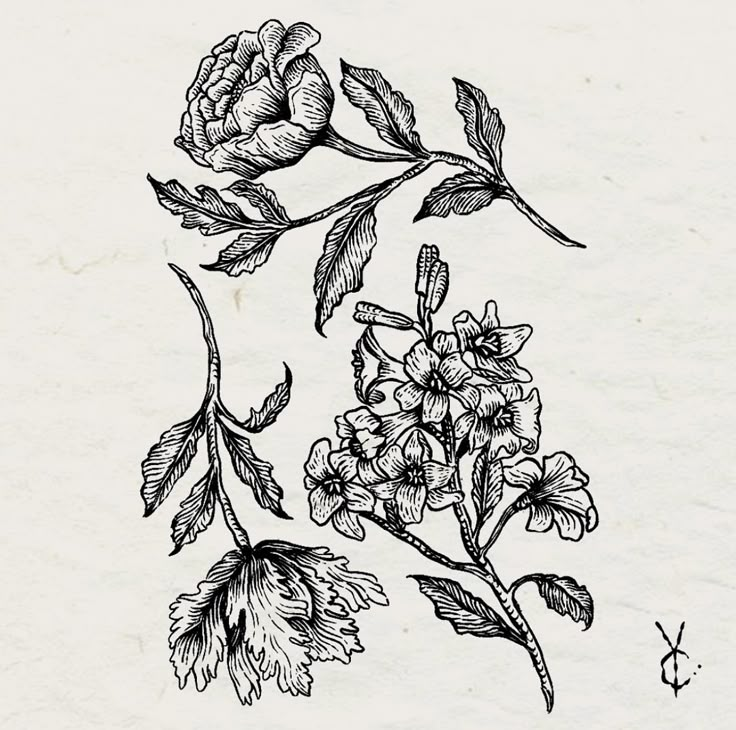 a black and white drawing of some flowers