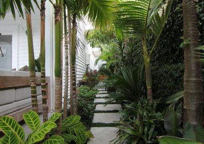 the walkway is lined with tropical plants and trees