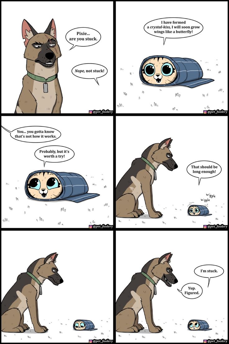 a comic strip with an image of a dog sitting on the ground and talking to another dog