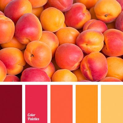 a bunch of peaches that are in color swatches with the same hues