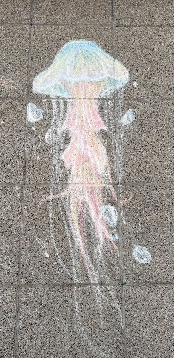 a chalk drawing of a jellyfish on the sidewalk