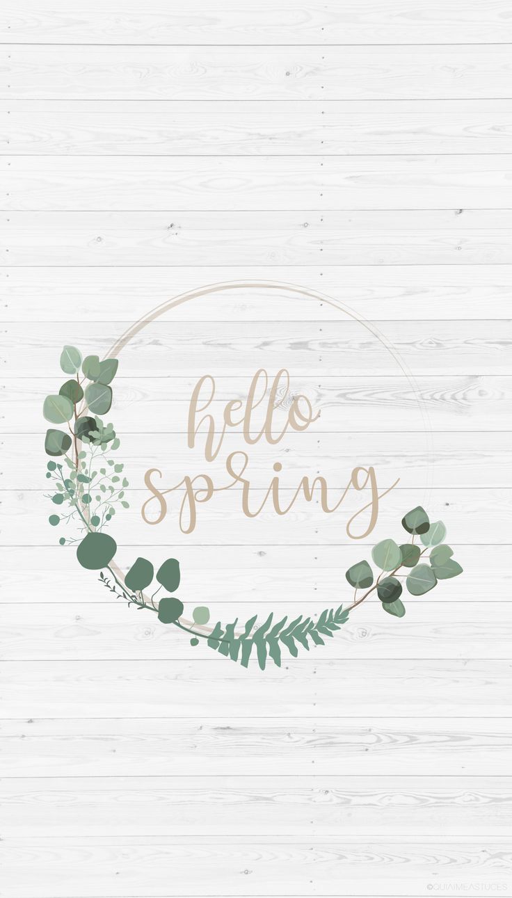 a white wooden background with green leaves and the words hello spring