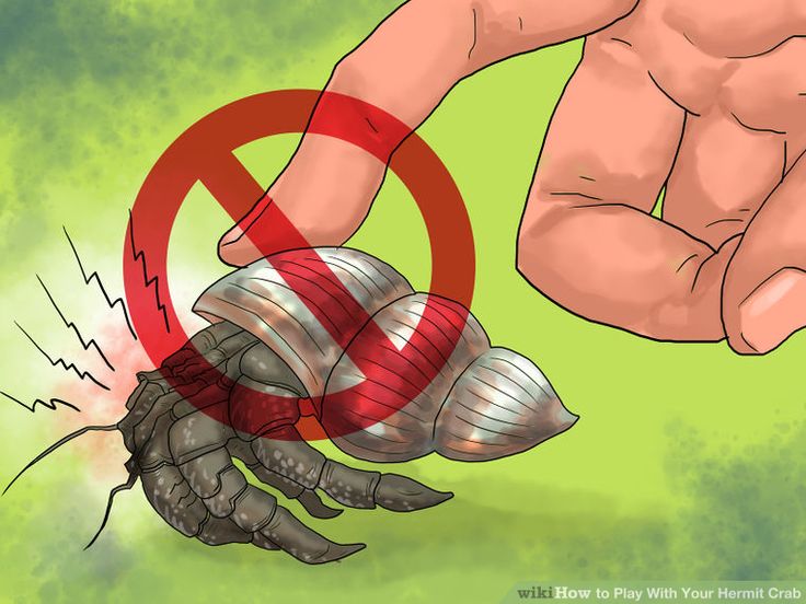 a hand holding a metal object in front of a red sign that says no to insect bites