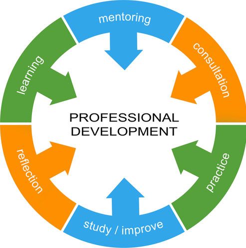 a circular diagram with the words professional development written on it and arrows pointing in different directions