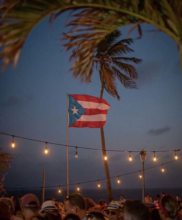 an american flag is flying in the air at night with people sitting under lights and palm trees