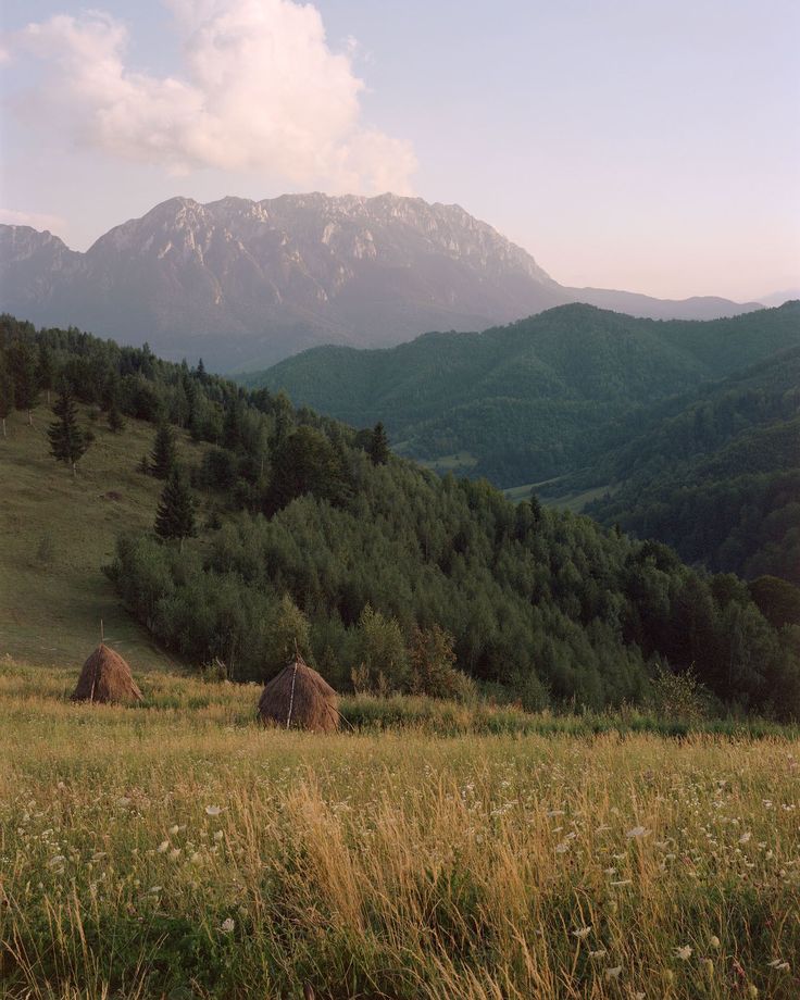 a grassy field with mountains in the background