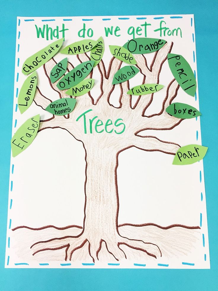 a paper tree with words written on it and the roots labeled in green, white and blue