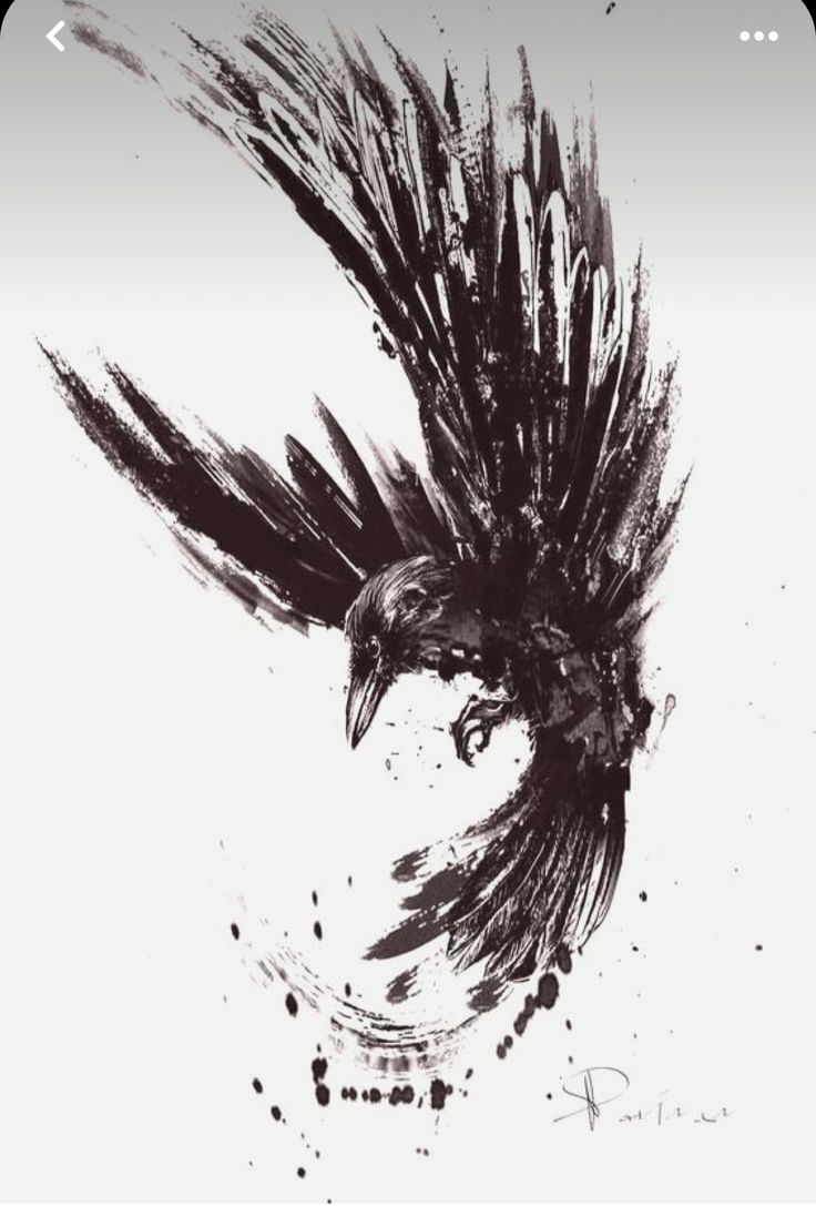 a black and white drawing of a bird flying