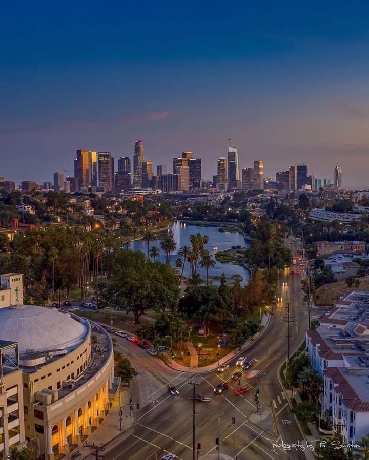 an aerial view of the city skyline at dusk, with palm trees and buildings in the foreground