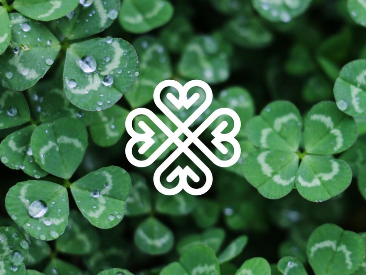 clovers with the word shamrock written on them in white and surrounded by green leaves