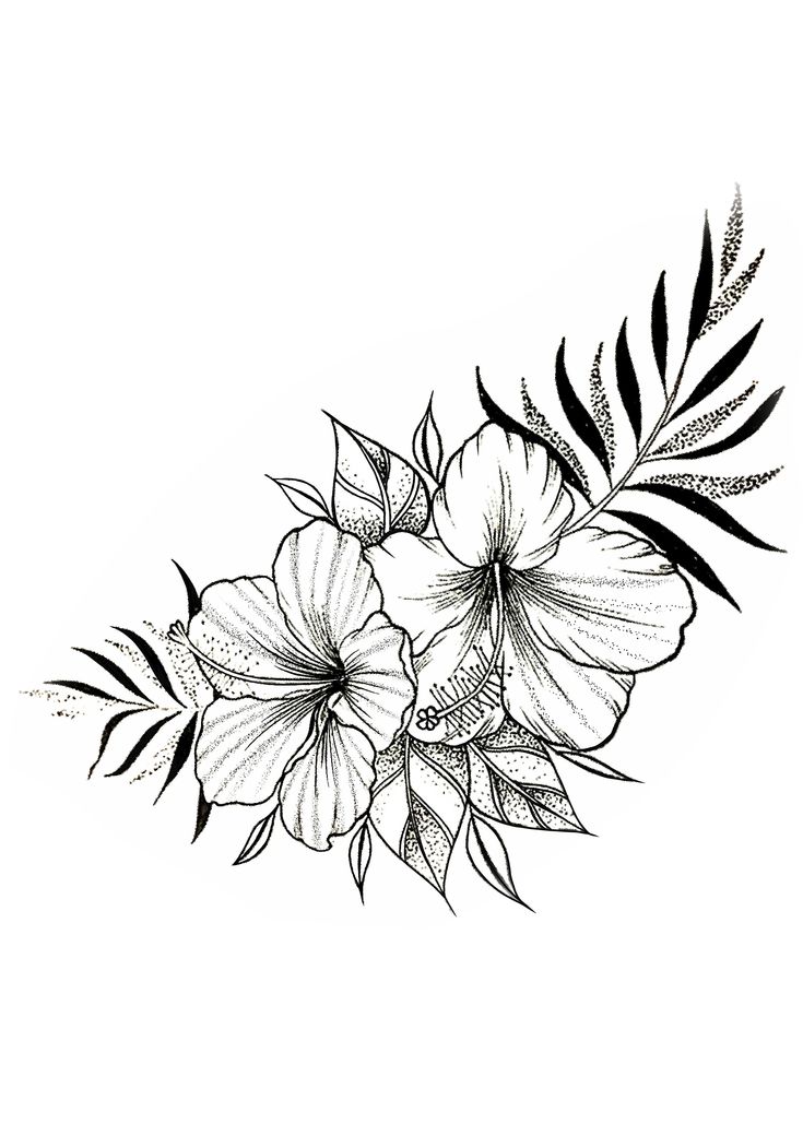 black and white drawing of flowers on a white background