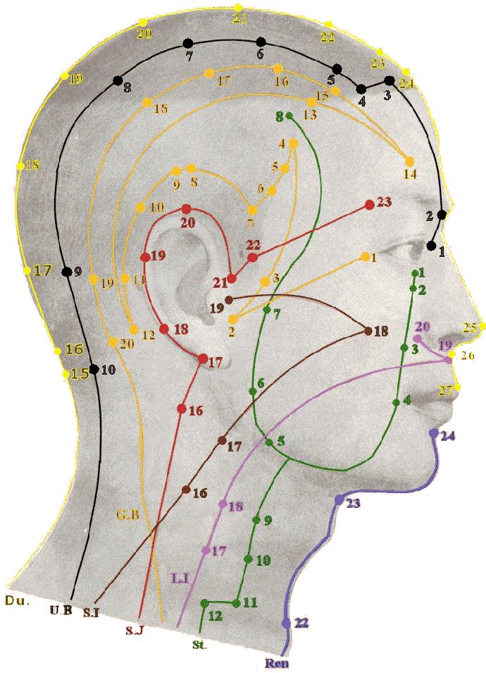 Acupuncture points of the head. All the meridian points are listed if you click through this link. Listed below are the twelve primary energy meridians, their time periods and the main emotions linked with them: Meridian Points, Acupuncture Benefits, Shiatsu Massage, Acupuncture Points, Acupressure Points, Traditional Chinese Medicine, Pressure Points, Reflexology, Chinese Medicine