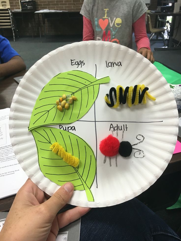 a paper plate with different parts of a plant on it