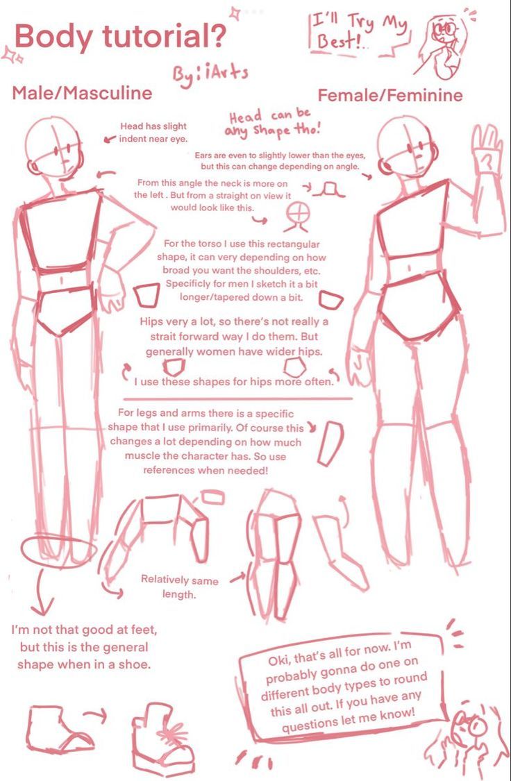 an instruction manual for how to draw male and female body parts, with instructions on how to