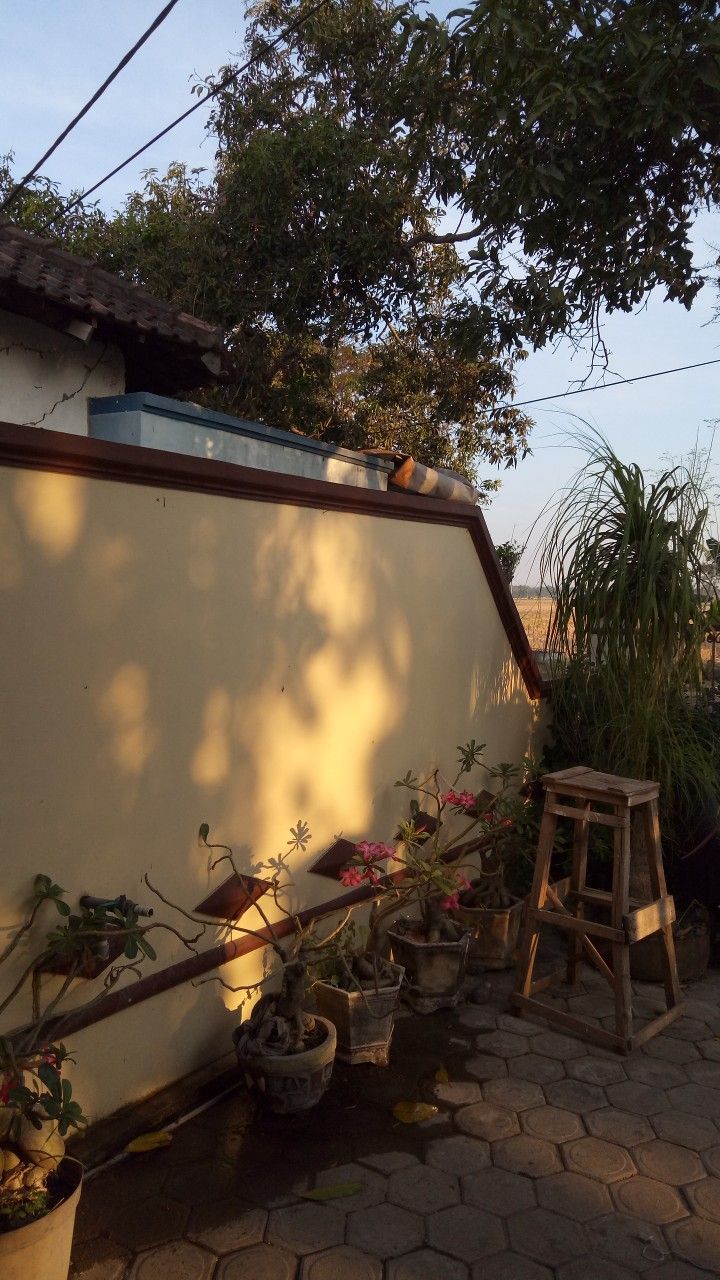 several potted plants on the side of a building near a wooden stool and table