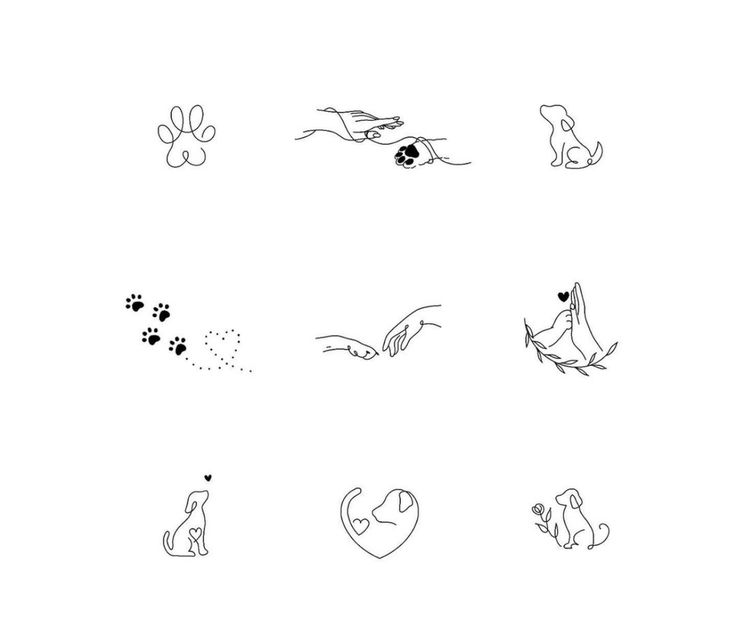 several different types of animals and their tracks on a white background, including one with a dog's paw