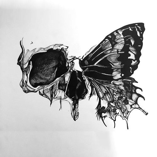 Half Skull Butterfly Tattoo Design Skull Butterfly Tattoo Design, Skull Butterfly Tattoo, Butterfly Tattoo Design, Skull Butterfly, Bauch Tattoos, Half Skull, Tattoo Schrift, Irezumi Tattoos, Tattoos Skull