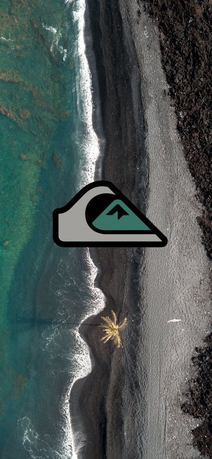 an aerial view of the ocean and beach with a palm tree in the foreground