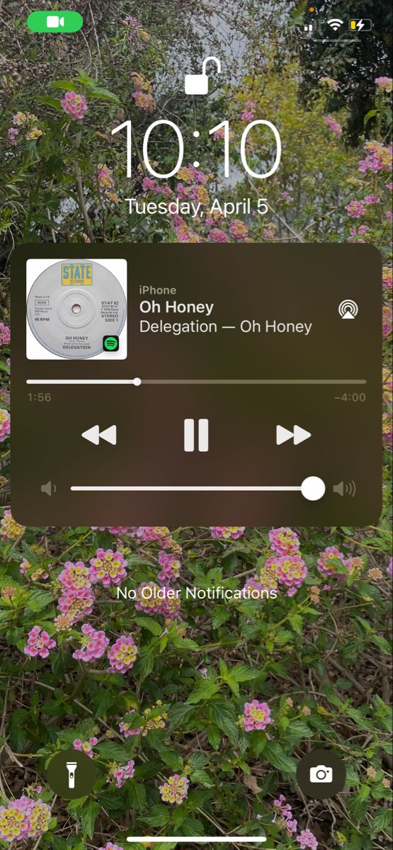 an iphone screen showing the music player on it's display, with flowers in the background