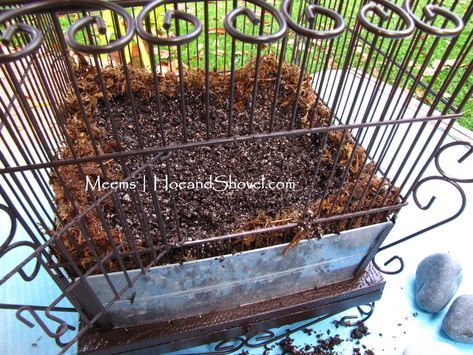 a bird cage filled with dirt and rocks