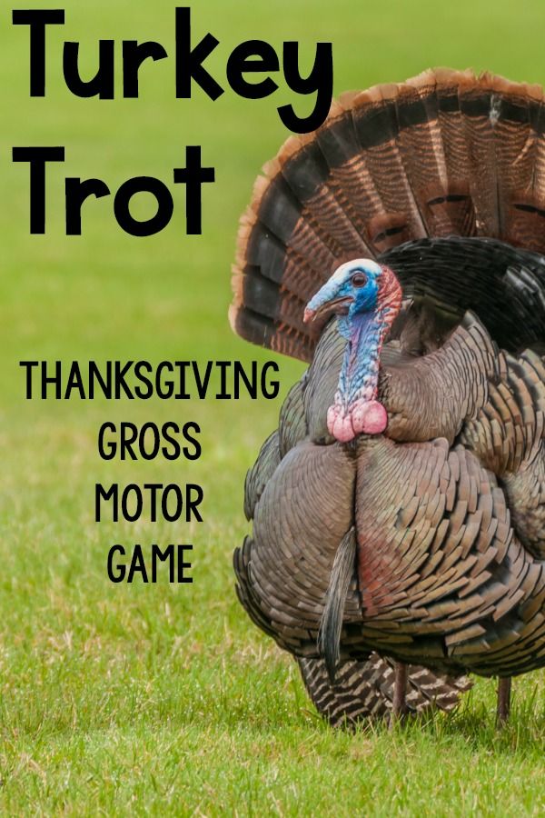 a turkey with the words thanksgiving themed motor planning ideas on it's head in front of green grass