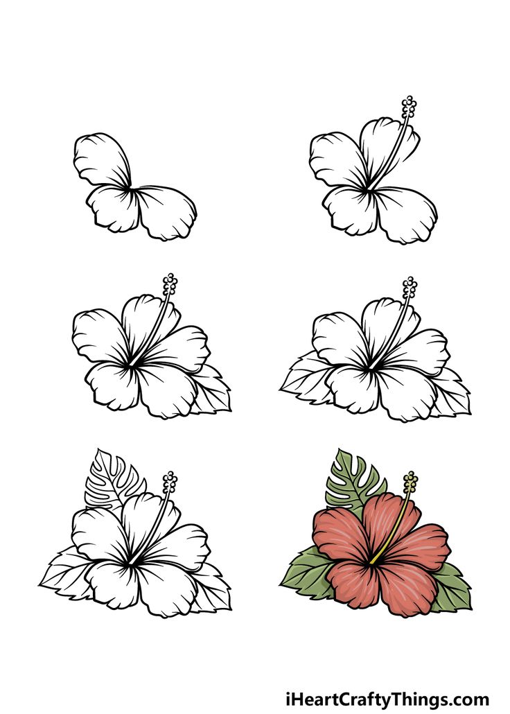 four different flowers on a white background