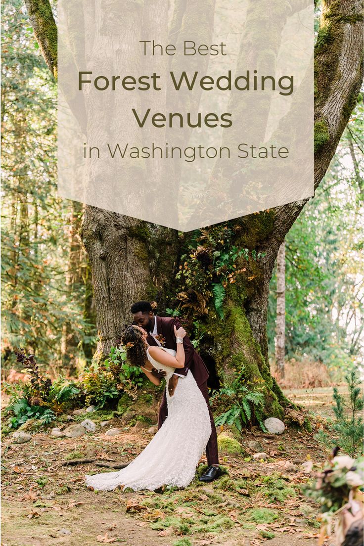 a bride and groom kissing under a tree in washington state with the words, the best forest wedding venues in washington state