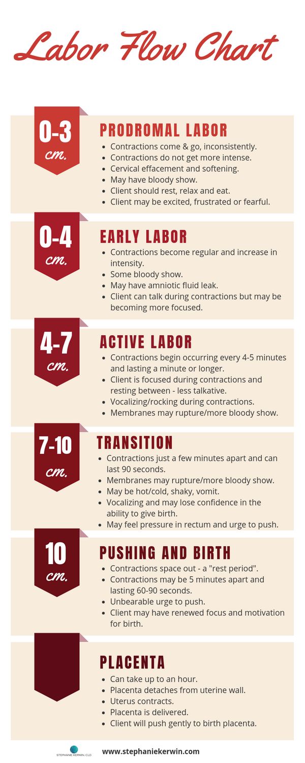 the labor flow chart for workers and their jobs