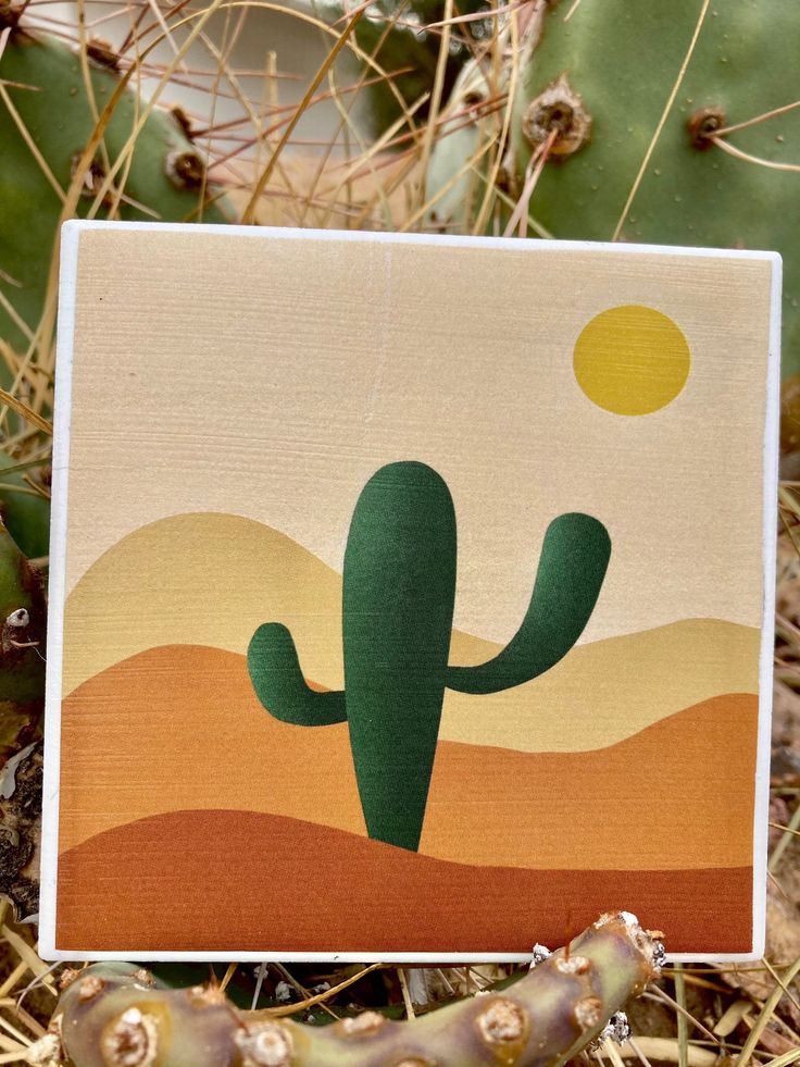 a card with a cactus on it in the desert