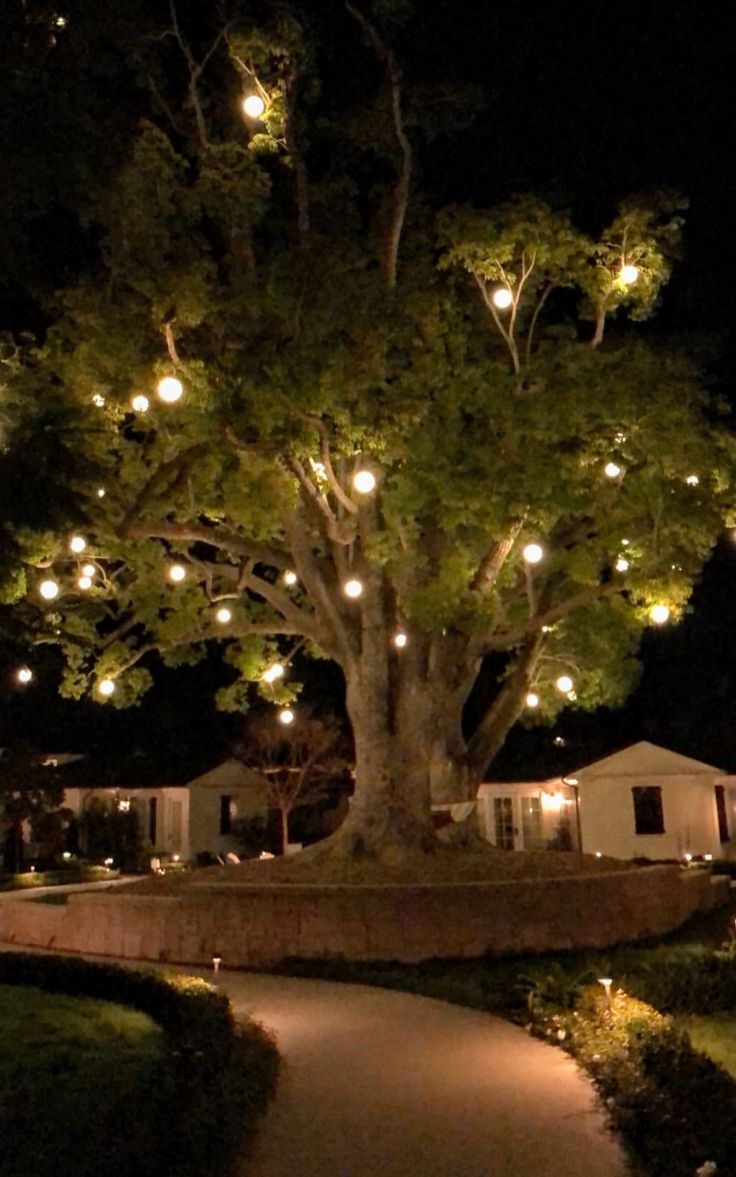 a large tree with many lights on it