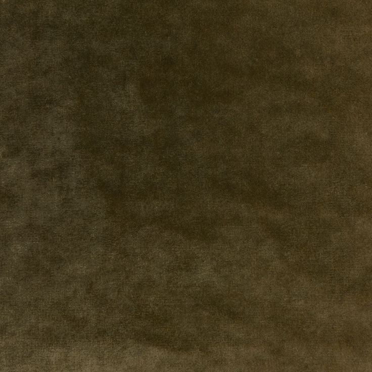 Apologies Olive Velvet, Olive Fabric, Couture Fabric, Solid Texture, Velvet Texture, Velvet Upholstery Fabric, Fabric Houses, Green Olive, Velvet Color