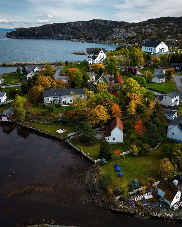 an aerial view of a small town by the water with houses and trees around it